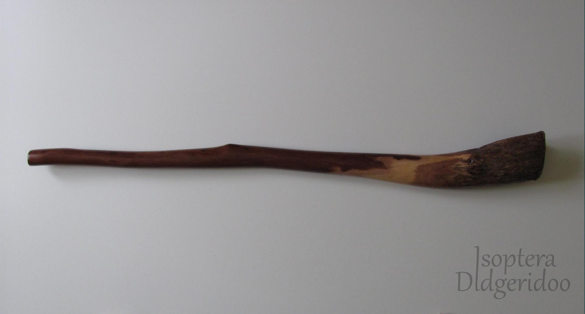 Boxwood Eucalyptus didgeridoo ID-01A