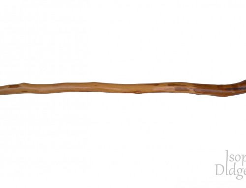 Didgeridoo (ID-27)